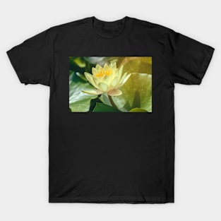 white water lily T-Shirt